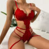 Sexy Transparent Lace Open Crotch Bodysuit in pakistan by nightydress.com