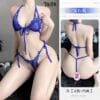 Transparent Blue Mesh Bra Panty
